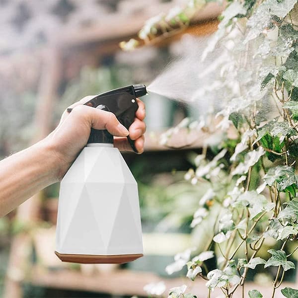 Växtförstövare Vattenflaska Sprayflaska Sprayer Mintgrön
