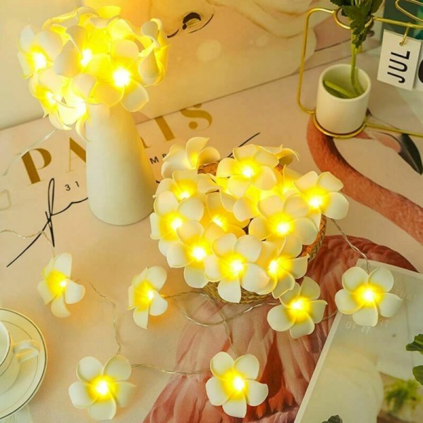 LED Plumeria Fake Flower String Lights - Hawaiian Foam Frangipani Flower Light Birthday Wedding Party 3AA Powered (9.8FT 20LED)