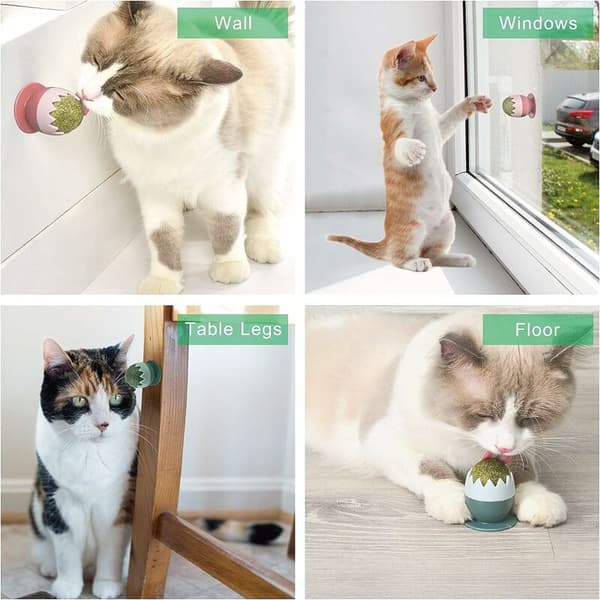 Kattmyntaboll leksak (grön)