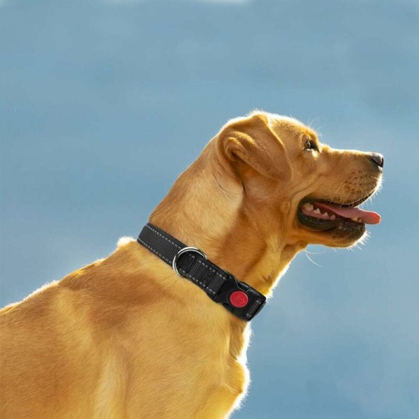 Hundhalsband, klassiskt justerbart reflekterande nylon med mjuk ventilerande mesh för medelstora hundar, M, svart