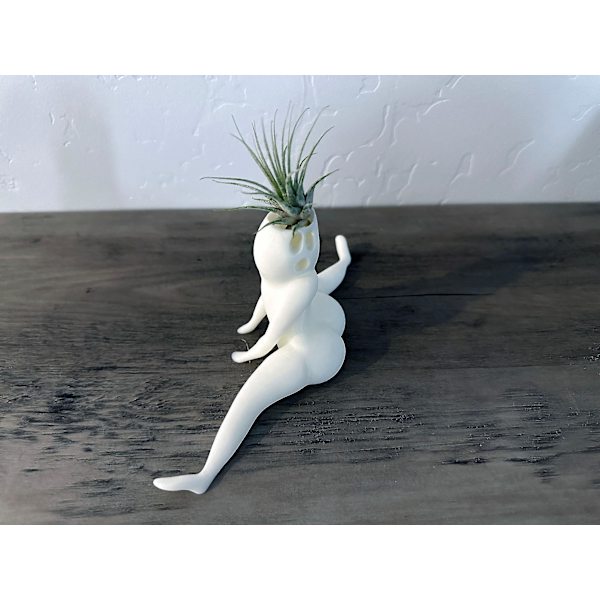 Sjov stor numse spøgelse potteplanter rædsler i dette hus latterlige luftplante display & gag gave med levende luftplante Tillandsia Jst（spøgelse blomsterpotte）