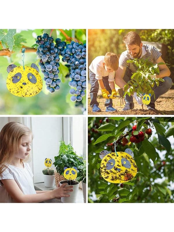 [10-pack] Panda Fruktflugfälla, Gula & Blå Klibbiga Insektsdekaler