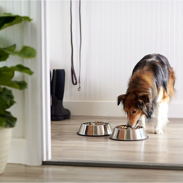 Halkfria, stöttåliga hundskålar i rostfritt stål - 2-pack