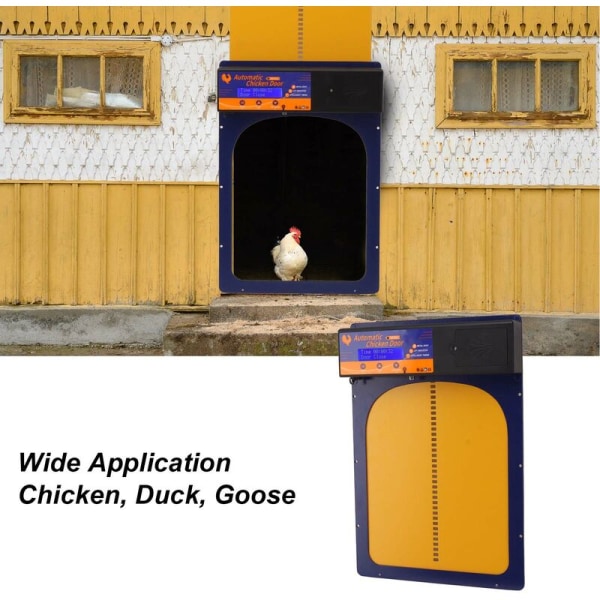 3 i 1 Automatisk kycklingdörr LED-fjärrkontroll Light Sensation IP45 Automatisk hönshusdörröppnare för kycklingar Ankor Gäss Jewel Blue