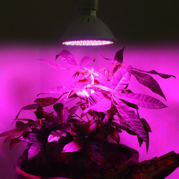 Full Spectrum LED trädgårdslampa E27 Indoor Plant Growth Lamp 20W för inomhusväxthus, trädgård, odlingsrum, hydrokultur, grönsaker