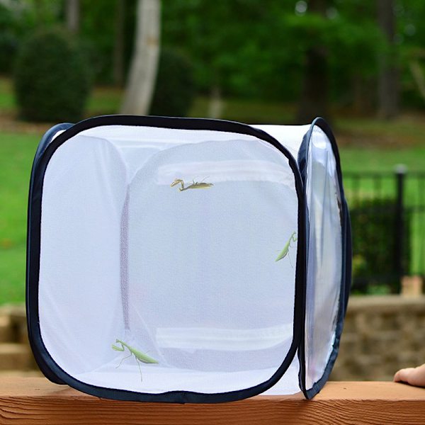 Fjärilsbur, hopfällbar insektsbur 30*30cm