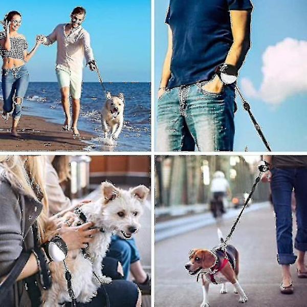 Händerfri Retractable Hundkoppel, Utökbar Valp Springande Koppel Hund(blå)
