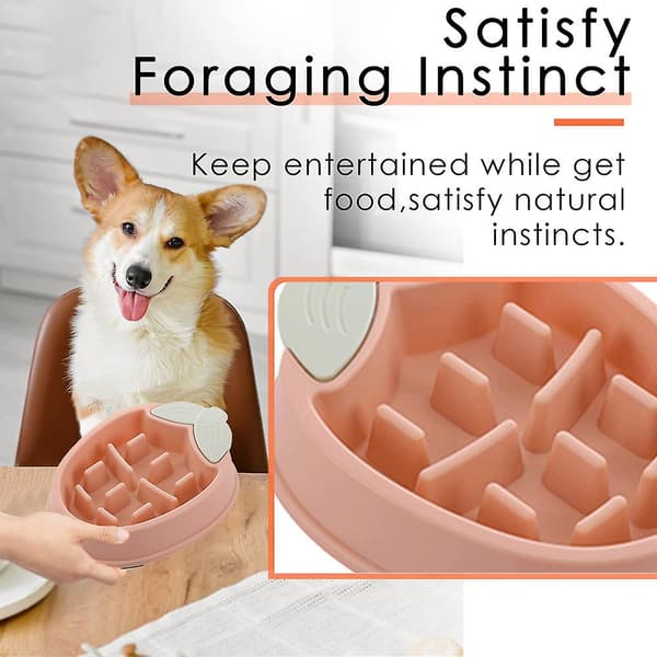 Hund Katt Slow Feeder Skål Valp Slow Feeder Skål för Torrfoder Råfoder Halkskyddad Slow Feeder（rosa）