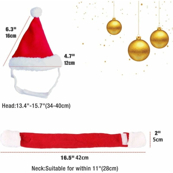 Hundkostym Katt Juldräkt Jul Hundkläder Husdjur Jul Outfit Tomteluva för Katter/Små Hundar