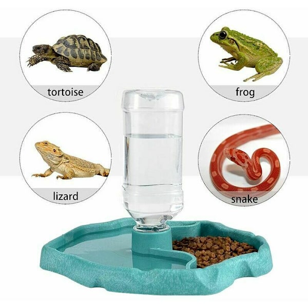 Reptil Vattenfontän Sköldpadda Vattenfontän Sköldpadda Skål Matare 2 i 1 Matare Skål Tillbehör Tillverkad av Läckagesäker Plast - Blå