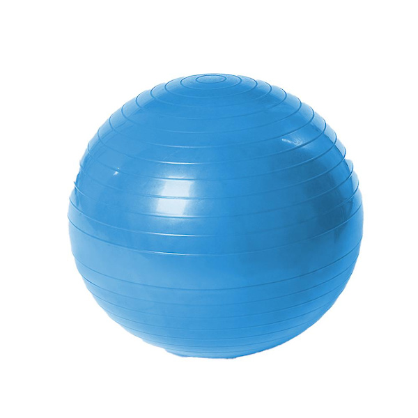 Träningsboll Extra Tjock Professionell Balans&Stabilitetsboll