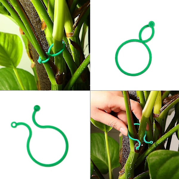 48 st plantstöd, tomater, blommor, fast bälte, spänne, 8-format spänne, kalebassring, trädgårdsaccessoarer