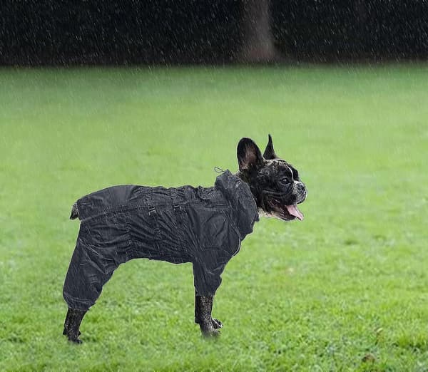 Extensible Jambe Costume Combinaison Pour Chiens (l), Manteaux Impermable Pour Chien Avec Fermeture