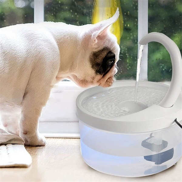 Katter dricksfontän med filter Automatisk vattendispenser Husdjur USB Vattenpump Dryck med LED-ljus Elegant vattenskål Tyst Återvinningsbar Transparent W