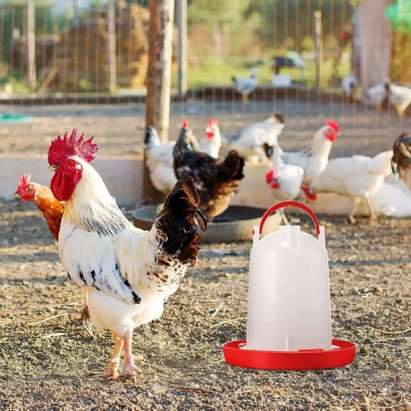 2 foder hink matare foder kyckling box bassäng fågel box gås äta foder automatiskt mata ner foder 2 kg eller så