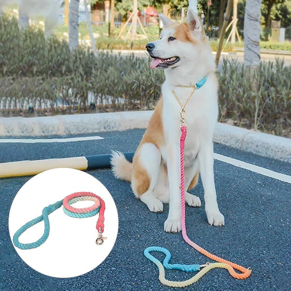 Gradient slitstark flätad bomullsrep hundpromenad draglina husdjurstillbehör（7）