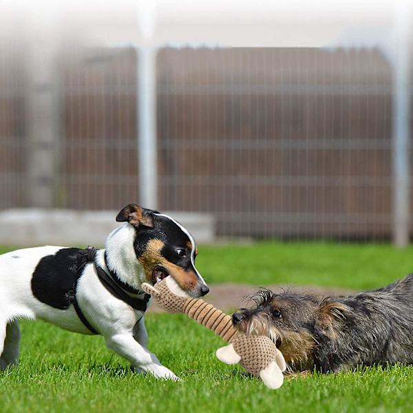 Hunde legetøj, holdbart tyggelegetøj til rengøring af tænder, plysdyr hundetræningslegetøj
