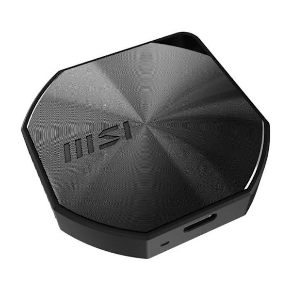 MSI SSD DATAMAG 20Gbps 2TB / EX AMZ