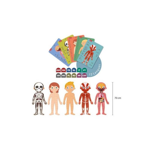 Palapeli - Lapsi - 240 osaa - Oppi ihmisen kehosta - Apli Kids