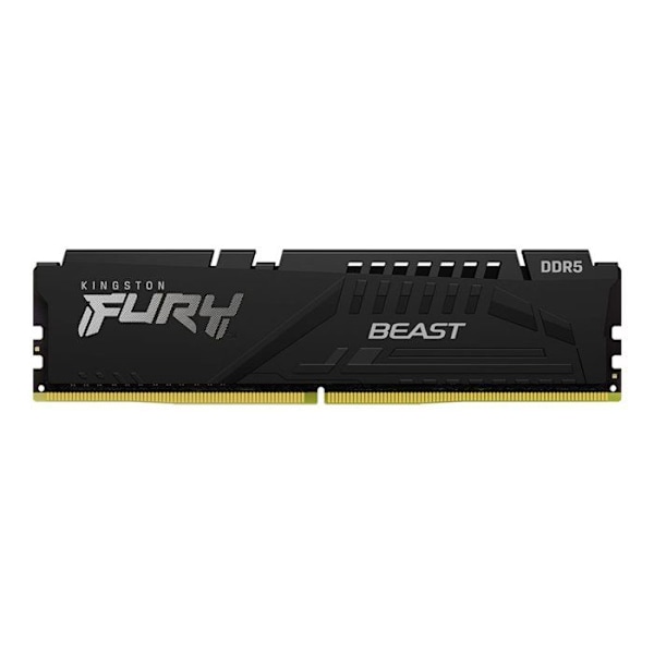 DIMM - KINGSTON - FURY Beast Musta EXPO - 16Go - DDR5 - 6000MT/s - CL36