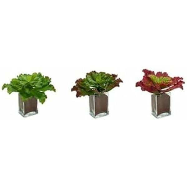 Dekorativa växter - IBERGARDEN - Set om 6 - Tvåfärgad - 31 x 24 x 31 cm - Inomhus Flerfärgad