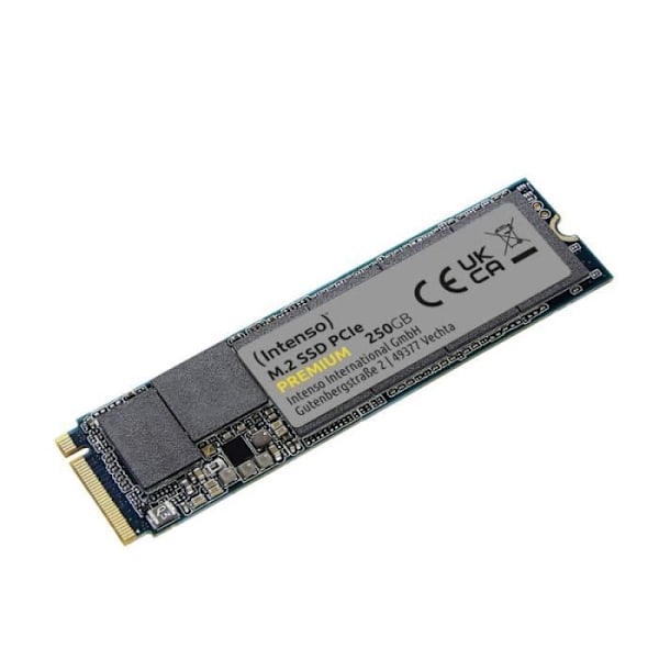 INTENSO Premium M.2 PCIe 256 Gt SSD-kiintolevy