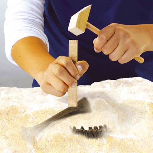 Dinosaur- og skeletudgravning 2 i 1 - Stegosaurus - SES CREATIVE Flerfärgad