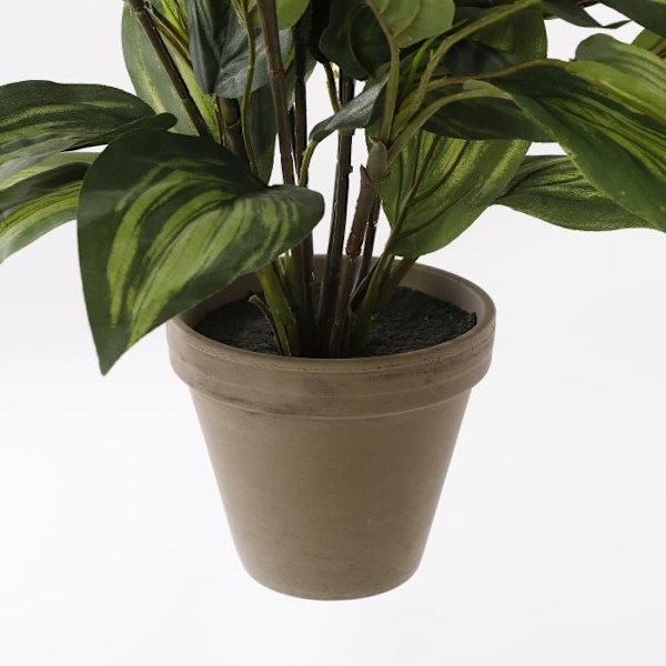 Mica Decorations Hosta Kunstig plante - H65 x Ø40 cm - Grøn Grön
