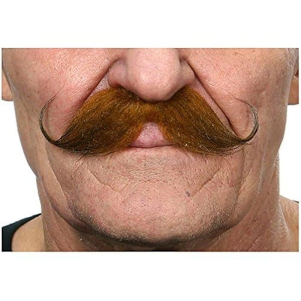 Mustasch - VIVING KOSTYMER - 202841 - Flerfärgad - One Size - Karneval Flerfärgad