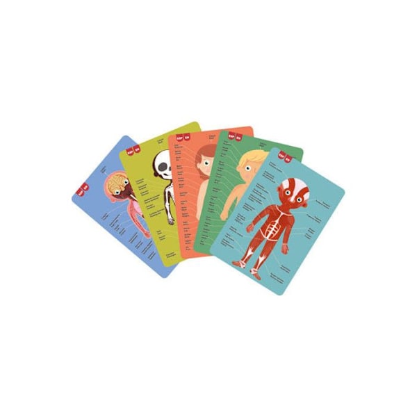 Palapeli - Lapsi - 240 osaa - Oppi ihmisen kehosta - Apli Kids