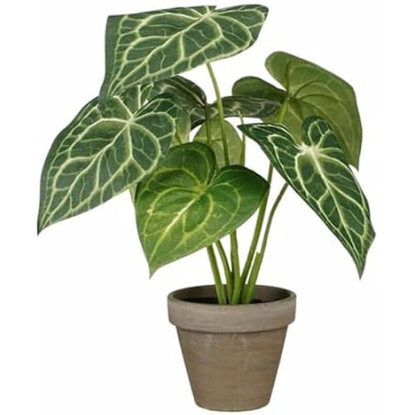 Dekorativ växt - MICA DECORATIONS - Caladium - Ø 21 cm - Höjd 28 cm - Konstgjord Flerfärgad