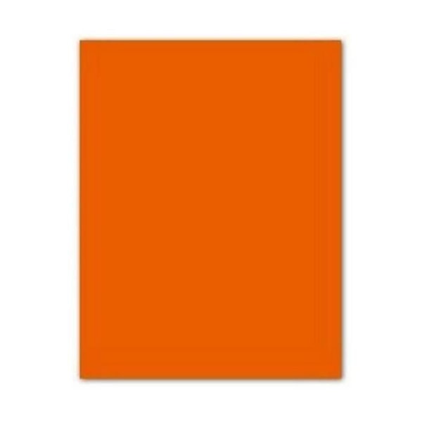 Canson 200040223-Cardstock
