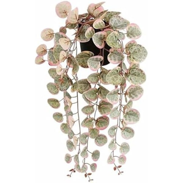 Dekorativ växt - MICA DECORATIONS - Ceropegia Woodii - Konstgjord - Att hänga - Flerfärgad Flerfärgad