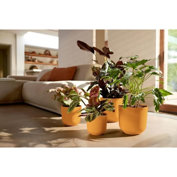 Blomsterkrukke - Elho - Jazz Rund - Gul - L 35 x B 34.5 x H 32 cm - Indendørs - 100% genbrugt Gul
