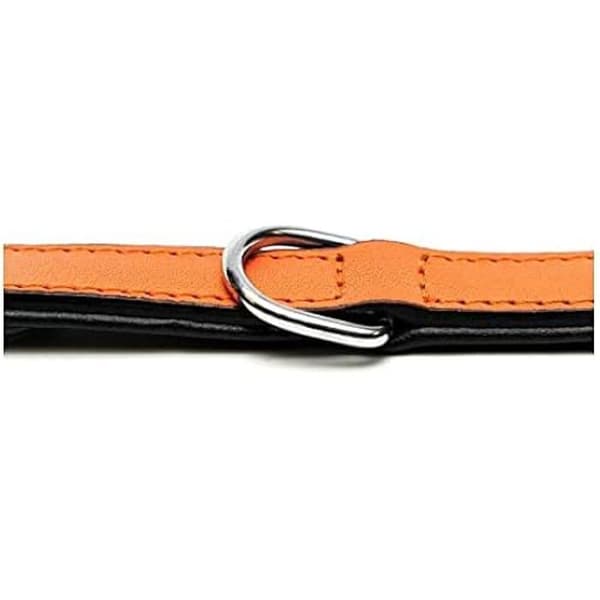 P padded leather collar - GLORIA - Model with fur - Adjustable - Orange - Medium dog Orange