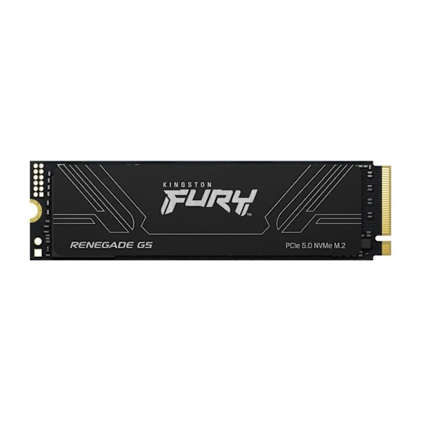 KINGSTON FURY Renegade G5 2048