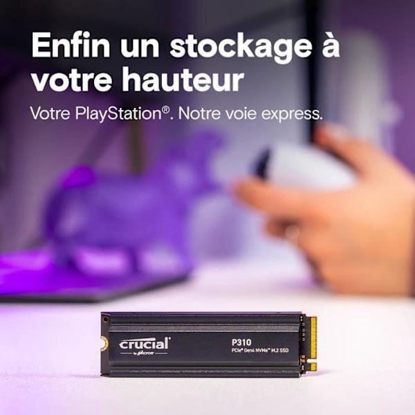 CRUCIAL - P310 - Intern SSD - 4 To - PCIe Gen4 NVMe M.2 - Med køler - Læsehastighed op til 7100 Mo/s - CT4000P310SSD5