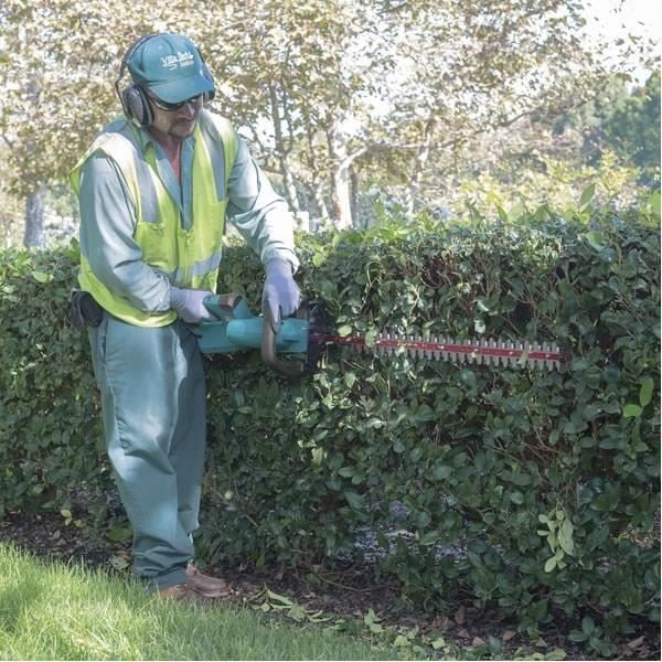 MAKITA Langaton pensasleikkuri 55 cm - 36 V - 2x Li-Ion 5Ah blått och svart