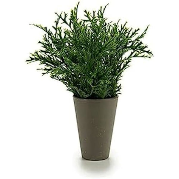 Grå Blomkruka - Ibergarden - S3602946 - Rund Grå