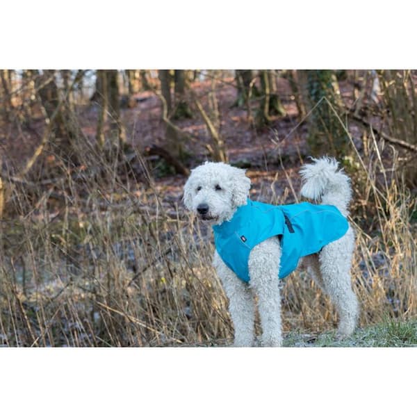 Vattentät hundjacka - TRIXIE - Vimy - Reflekterande - Lättskött foder - Turkosblå turkosblå/svart