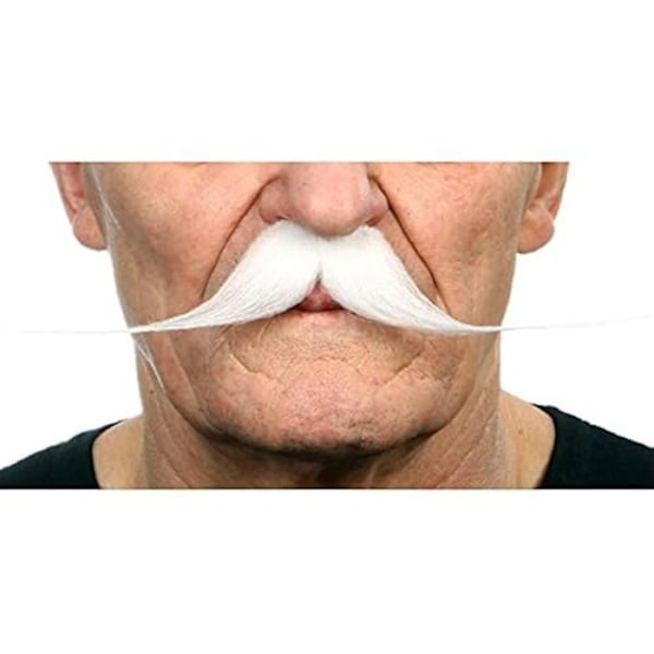 Förklädnadstillbehör - VIVING KOSTYMER - Mustasch - Flerfärgad - One Size - Karneval Flerfärgad