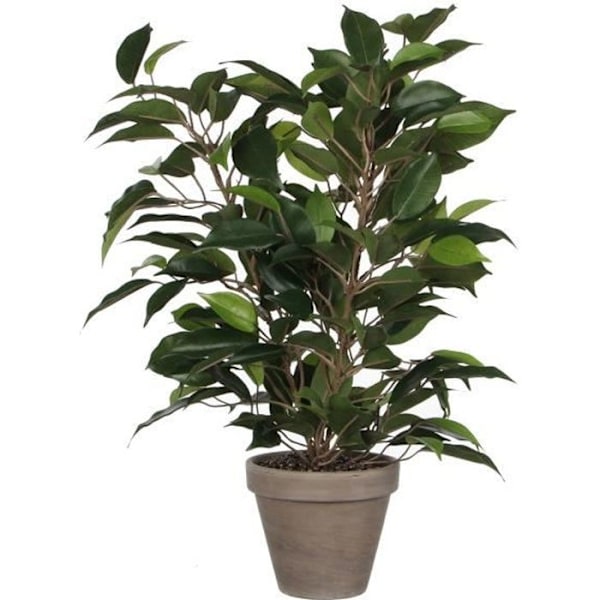 Blomma Konstgjord Växt Ficus Natasja H40 cm - Glimmerdekorationer