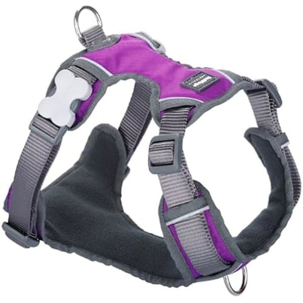 Koiran valjaat - PUNAINEN DINGO - Dingo - Violetti - Koko XL - 62-108 cm mångfärgad