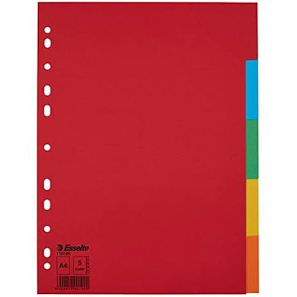 Välikannet - ESSELTE - 100199 - 20 kappaletta - A4 - Punainen/monivärinen - Kierrätetty pahvi mångfärgad