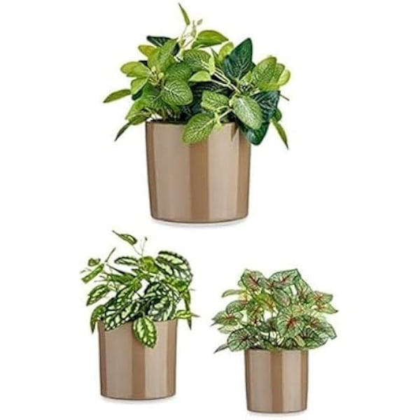 Set med krukor - IBERGARDEN - Cylinder - Ø 14 cm, Ø 17 cm, Ø 22 cm - Flerfärgad - 3 stycken mångfärgad