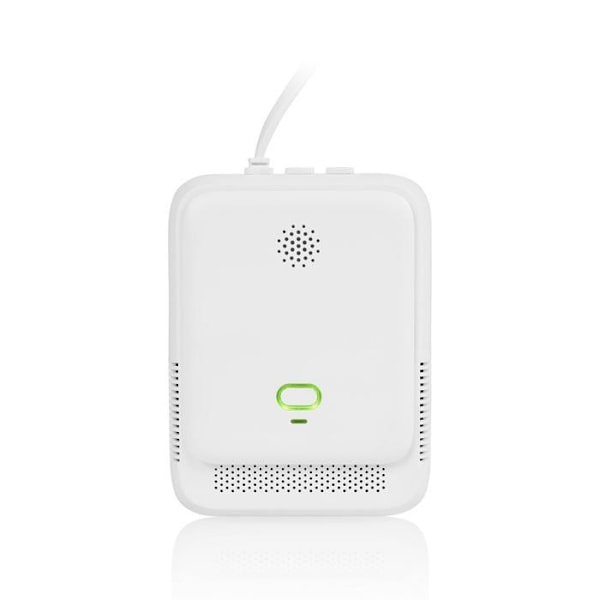 Smartwares gasdetektor - FGA-13410