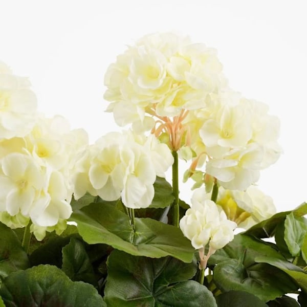 Konstgjord pelargonplanta i planteringskärl - L29 x B13 x H40 cm - Vit - Glimmerdekorationer Vit