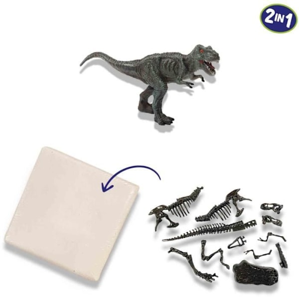 Dinosaurudgravning og skeletter 2 i 1 - T-rex - SES CREATIVE Flerfärgad