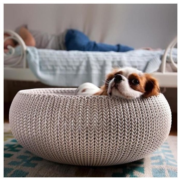 Curver Lit lemmikloomade jaoks "Cozy" 50 x 22 cm Kreem Beige