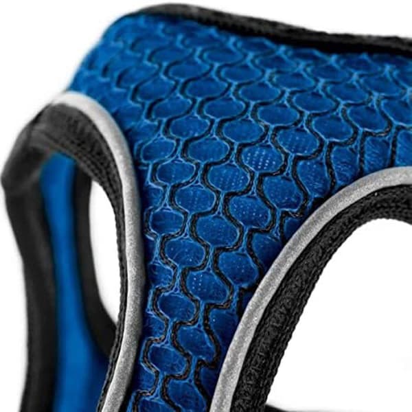 HUNTER Blue Dogille Blå